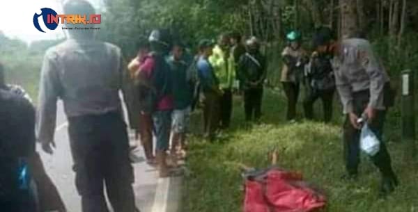 Saat Melintas Jalan , Pengendara Sepeda Motor Ditimpa Pohon Karet