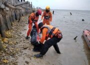 Empat Hari Hilang Diterkam Buaya, Dandi Ditemukan di Hutan Bakau