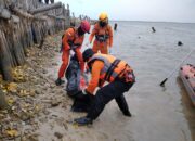 Empat Hari Hilang Diterkam Buaya, Dandi Ditemukan di Hutan Bakau