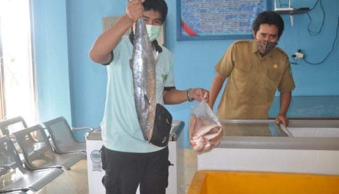 Di Bazar Ini, Tenggiri Hanya Rp 55 Ribu