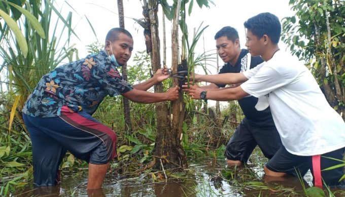 5 Spesies Anggrek Bangka Belitung Disebar di Sungai Upang