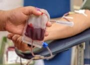 Stok Kosong, Golongan Darah A dan O Paling Dicari