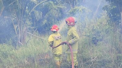 Hutan Kurau Dilahap Si Jago Merah, Pelapor: Sengaja Dibakar