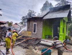 Sedang Asik Nyuci, Rumah RT di Desa Lubuk Pabrik Hangus Terbakar