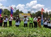 Sudah Empat Kelompok Tani Dapat Bantuan Rp 150 Juta