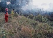Selang Tiga Jam, Dua Titik Lahan Kosong Terbakar