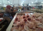 Harga Naik, Warga Koba Malas Masak Ayam