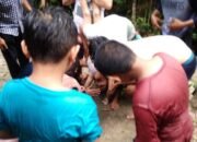 Bocah Asal Sungailiat Tewas di Air Terjun Mangkol