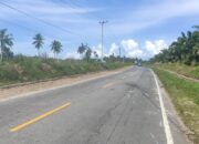 Sering Memakan Korban, Penunggu Jalan Pal 4 Anjing Sebesar Sapi dan Bermata Merah