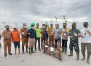 Hutan Mangrove Babel Masa Depan Dunia