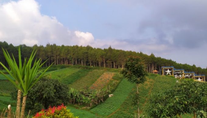 Keindahan Bukit Moko Bandung, dengan Pesona Alam dan Lanskap Kota dari Ketinggian