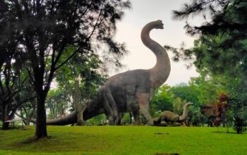 Taman Dinosaurus Majalengka, Destinasi Wisata Paling Hits untuk Liburan Keluarga