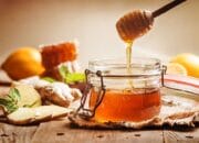 Inilah 10 Jenis Madu Asli Khas Indonesia dan Manfaatnya Bagi Kesehatan Tubuh