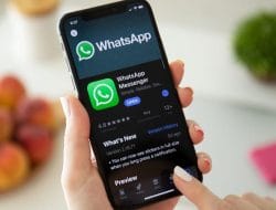 Fitur Baru! 3 Cara Menghilangkan Status Online di WhatsApp Agar Tidak Terlihat