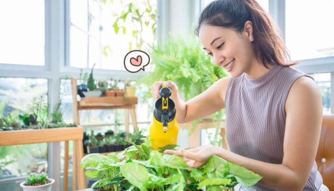 Minim Perawatan dan Mudah Dipelihara, 8 Tanaman Sayuran yang Mudah Ditanam