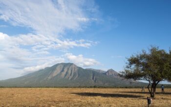 Afrika dari Jawa, Mengintip Pesona Keindahan Taman Nasional Baluran di Situbondo