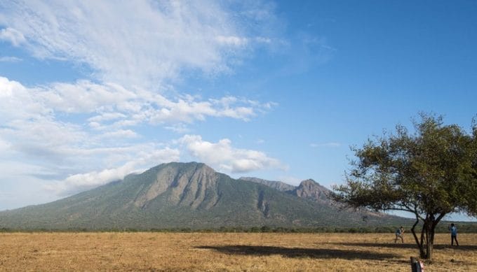 Afrika dari Jawa, Mengintip Pesona Keindahan Taman Nasional Baluran di Situbondo