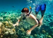 Tak Perlu Takut! Ini Tips Olahraga Snorkeling untuk Para Pemula