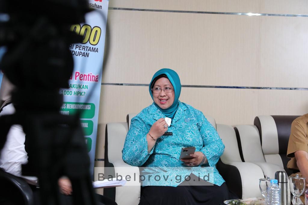 Ini Program PKK Babel Tekan Angka Kematian Ibu Melahirkan Dan Stunting ...