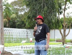 Cabai dan Bawang Merah Sumbang Inflasi Terbesar di Babel, Pj Gubernur Buatkan Kebun Percontohan