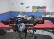 Buaya Terkam Petani Desa Kerantai Hingga Tewas