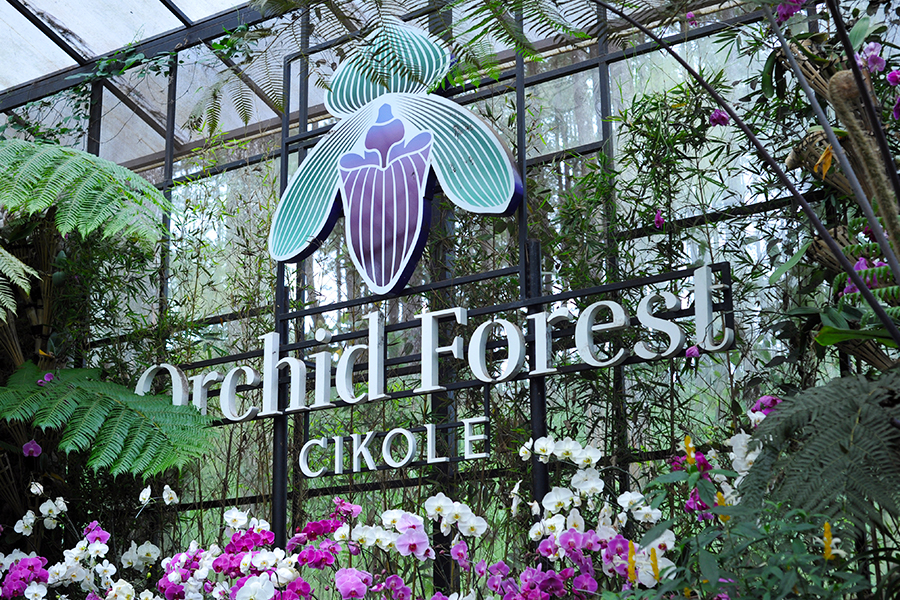 Orchid Forest Cikole