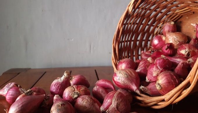 6 Manfaat Bawang Merah Bagi Kesehatan Wajah dan Tubuh, Wajib Kalian Ketahui!