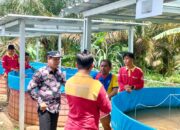 Karang Taruna Desa Petaling Jaya, Kembangkan Lele Sistem Bioflok