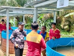 Karang Taruna Desa Petaling Jaya, Kembangkan Lele Sistem Bioflok