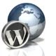 website wordpress