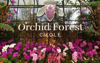 Orchid Forest Cikole, Taman Anggrek Terluas dan Terindah di Lembang