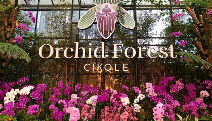 Orchid Forest Cikole, Taman Anggrek Terluas dan Terindah di Lembang