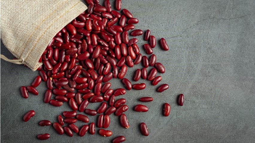 manfaat kacang merah