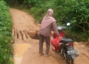Sudah Puluhan Tahun Jalan di Dusun Sadap Rusak Parah, Warga Mengaku Seperti Terisolir