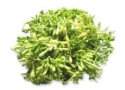 4 Manfaat Bunga Pepaya, Memiliki Antioksidan Tinggi dan Ampuh Mengontrol Kolesterol