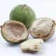 manfaat buah gayam