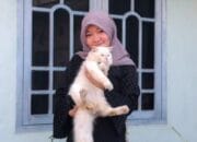 Memelihara Kucing Baik Untuk Kesehatan dan Mental