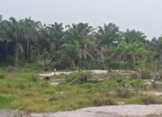Ancaman Camat dan Polisi Tak Digubris, DAS Desa Kulur Tetap Dijarah Penambang