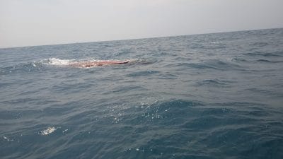 Kapal Nelayan Terbalik Setelah Dihantam Gelombang Setinggi Dua Meter di Laut Matras