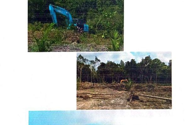 Pengerusakan Kawasan Hutan Produksi Bergulir Ketingkat Pusat, Mangkin Seru Nih !?