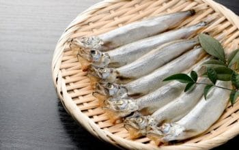 ikan shishamo