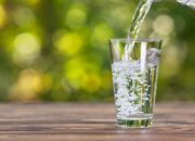 7 Manfaat Air Putih untuk Kesehatan, Turunkan Berat Badan dan Tingkatkan Mood