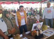 Malam Ini Kontes Durian Dimulai, Pemenang Akan Dilelang