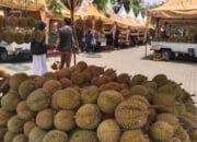 Algafry: Ekonomi Masyarakat Desa Air Mesu Meningkat Berkat Durian