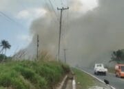 Kebakaran Hutan Pal 4, Jalan Pangkalpinang-Koba Tertutup Asap Tebal