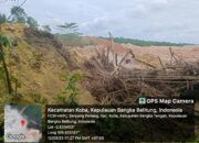 Alat Berat Warna Orange Garap Hutan Air Risi