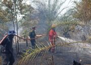 Kebakaran Melanda Bangka Belitung, Damkar PT Timah Turut Turun Tangan