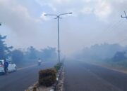 50 Hektar Hutan Kota Koba Hangus Terbakar