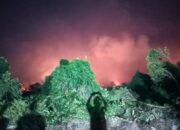 Sudah Empat Hari Hutan Kota Koba Terbakar, Warga Mulai Ngungsi