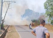 Hutan di Sinar Laut Koba Terbakar, Warga Alamai Iritasi